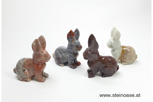 Hase Speckstein Gr.S